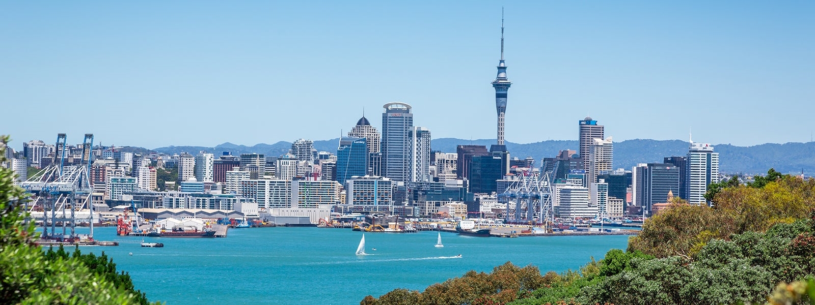 Auckland-New-Zealand