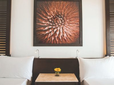 Hyatt Ziva Los Cabos,All-Inclusive Deals