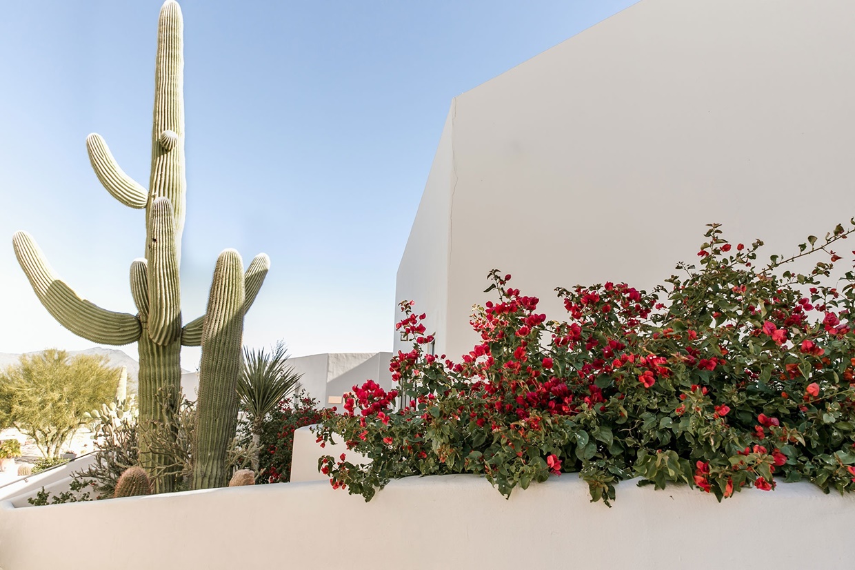 Civina-Wellness-Resort-Architecture